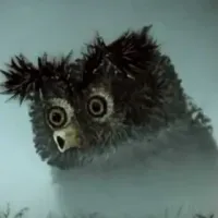 В Европе и США завирусилась новая теория заговора