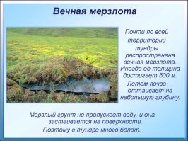 От улыбки лопнула щека. Большая подборка