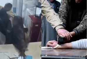 Просто гифки, всякие и&nbsp;разные