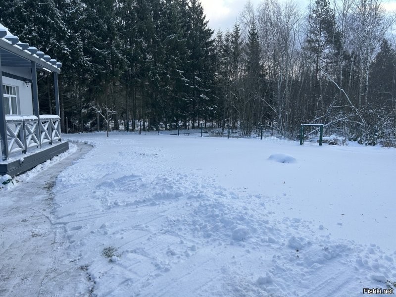 Немцам напомнили, для чего им нужны гаражи