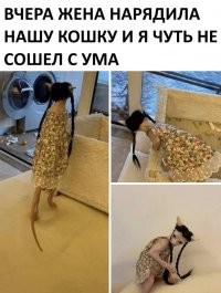 От улыбки лопнула щека. Большая подборка