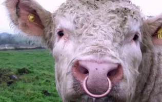 Встречаем первый понедельник в этом году с улыбкой