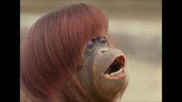 "Чувствуешь себя куском мяса": представительница древнейшей профессии рассказала о минусах своего ремесла