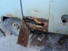 Если там где она будет бегать есть зима, то через два года "Бухана" начнет "икру метать"...