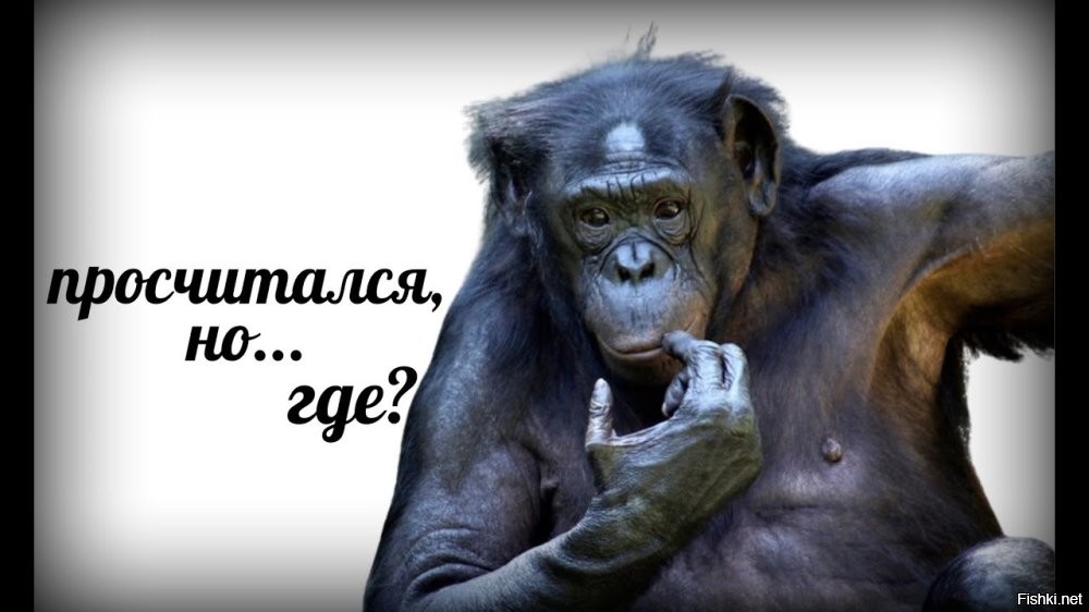 Политическая солянка. Часть 345