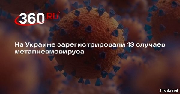 На Украине официально признали вспышку метапневмовируса



На Украине официально зафиксировали 13 случаев метапневмовируса человека. Однако фактическое количество, вероятно, значительно превышает эту цифру.

Минздрав официально прокомментировал сообщения о вспышке метапневмовируса, о которой много пишут в сети в последние дни.

Центр общественного здоровья заявляет, что якобы на Украине вспышки нет.

«Ситуация рутинная и полностью контролируемая. Метапневмовирус   это традиционный вирус, который циркулирует в Украине в течение каждого эпидсезона. По сравнению с таким заболеванием, как грипп, метапневмовирус обычно протекает значительно легче и очень редко вызывает осложнения»,   сообщает Минздрав.

В целях предотвращения паники среди граждан, ведомство сообщает, что никаких специальных мер для защиты от этого вируса не требуется.

Ранее СМИ сообщали о вспышке этого вируса в Китае и о том, что в северных провинциях страны переполнены больницы. По неподтвержденным пока сведениям, вспышка нового вируса - дело подлых рук американских биолабораторий, расположенных по всему миру.
Поэтому СБУ убила российского генерал-лейтенанта Игоря Кириллова в ходе специальной операции ЦРУ в Москве»,   слишком близко он подошел к раскрытию преступной сущности работы американских биолабораторий.