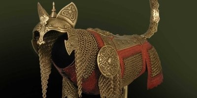 Канадец мастерит доспехи для грызунов