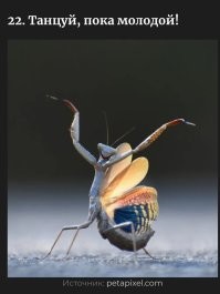 Танцуй пока с головой. :)