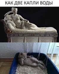 Коты минской художницы Рины Зенюк. 2024 год