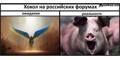 Зеленский вас ещё  не до конца добил,свинина? Ахахаха.