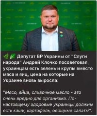 Судя по этому хлебалу, именно так он и питается.