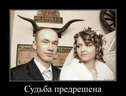 "И кто тут олень? Я олень?"