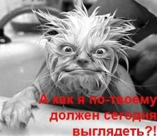 Политический мониторинг (523)