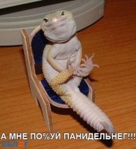 40 снимков, демонстрирующих неожиданную обратную сторону дикой природы