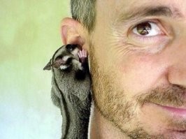 40 снимков, демонстрирующих неожиданную обратную сторону дикой природы