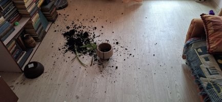 упал? какая жалость!
только я в стороне стоял.

скажи спасибо, что телевизер целый.