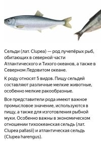 Эстонские учёные? 

Она, как бы, изначально ни фига не травоядная.