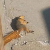 Такое не каждый день увидишь