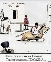 Это особая дагестанская порода котов)