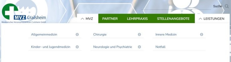 Да какие угодно MVZ могут быть. Все зависит от фантазии основателей и конкретных возможностей/потребностей в месте его нахождения.