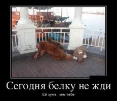 Такое не каждый день увидишь