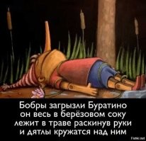 Как бобры запасаются "прикормкой" на зиму