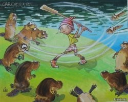 Как бобры запасаются "прикормкой" на зиму