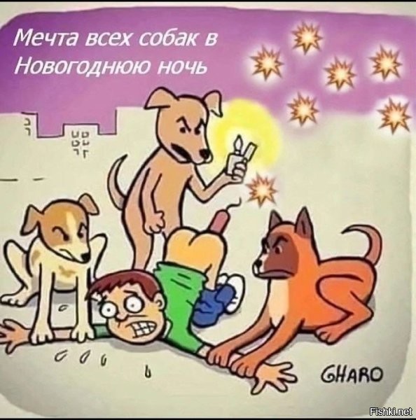 И многие люди мечтают так сделать.