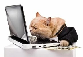 Коты уже пентагон взламывают,а вы тут про какие то кнопки.