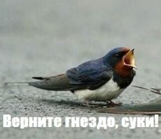 «Кушать подано!», или необычные предпочтения жителей Китая
