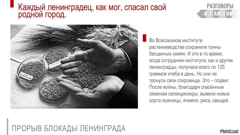 Подобная коллекция как раз способствует изучению ... подобные коллекционеры мир спасают ... а вы неуч просто ...