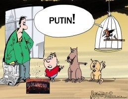 До начала пожаров в Калифорнии сократили бюджет огнеборцам и начали отказывать в страховании жилья