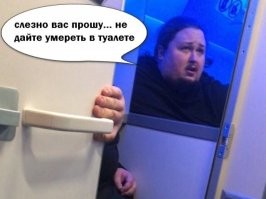 Наиболее эпично Лука Затравкин застрял в туалете самолёта...