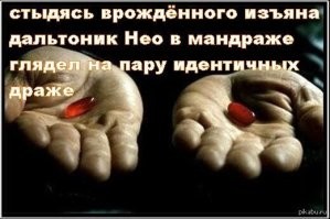 Только баяны, дурка и дзен