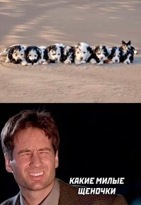 Большая подборка улыбатора