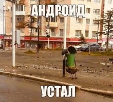 Через 25 лет женщины будут предпочитать роботов мужчинам