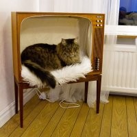 16 забавных примеров того, как люди старшего поколения попытались укротить непослушную технику