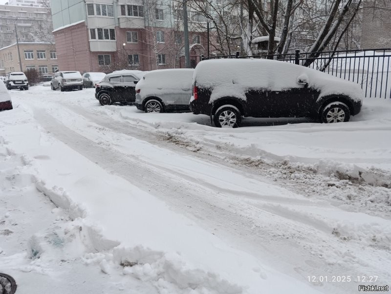 почистить конечно можно и даже нужно,
а снег то куда убирать?