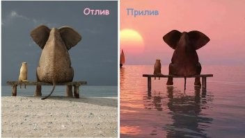 А они все суетятся