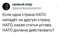 Та-же 5-я статья.
Если гипотетическая Польша нападёт на Германию, то Польше дадут писты всем миром.
