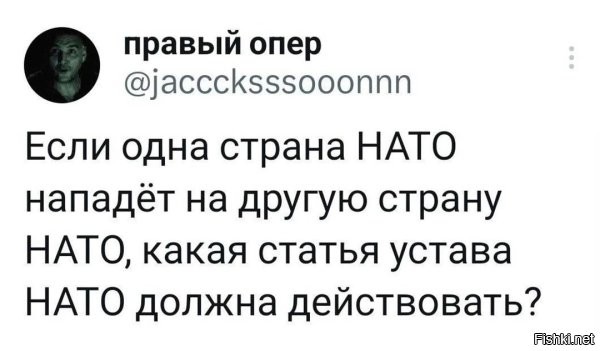 Та-же 5-я статья.
Если гипотетическая Польша нападёт на Германию, то Польше дадут писты всем миром.