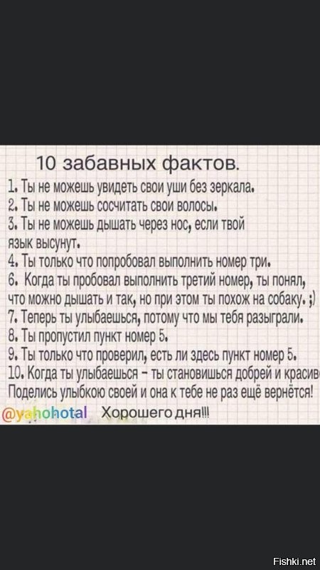 Весёлые картинки