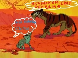 А был ли тигр? В соцсетях поспорили о достоверности фотографии из Приморского края