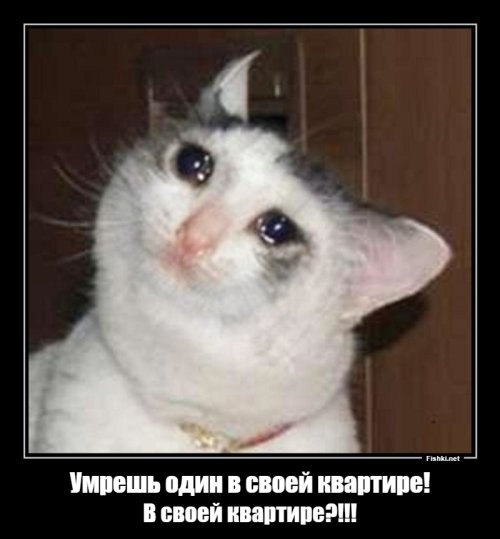 Испуганная совушка, которая реагирует на раскаты грома