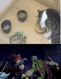 Просто гифки, всякие и&nbsp;разные