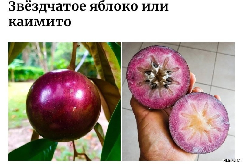 Таких?