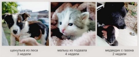 Во мои "приобретения". Оч довольна! )))