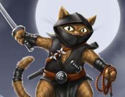 Кот красиво ушёл