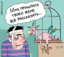 Эмоциональная реакция черепахи на чистку панциря