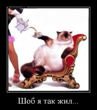 Стоимость 8 дней отдыха в Сочи на семью с двумя детьми